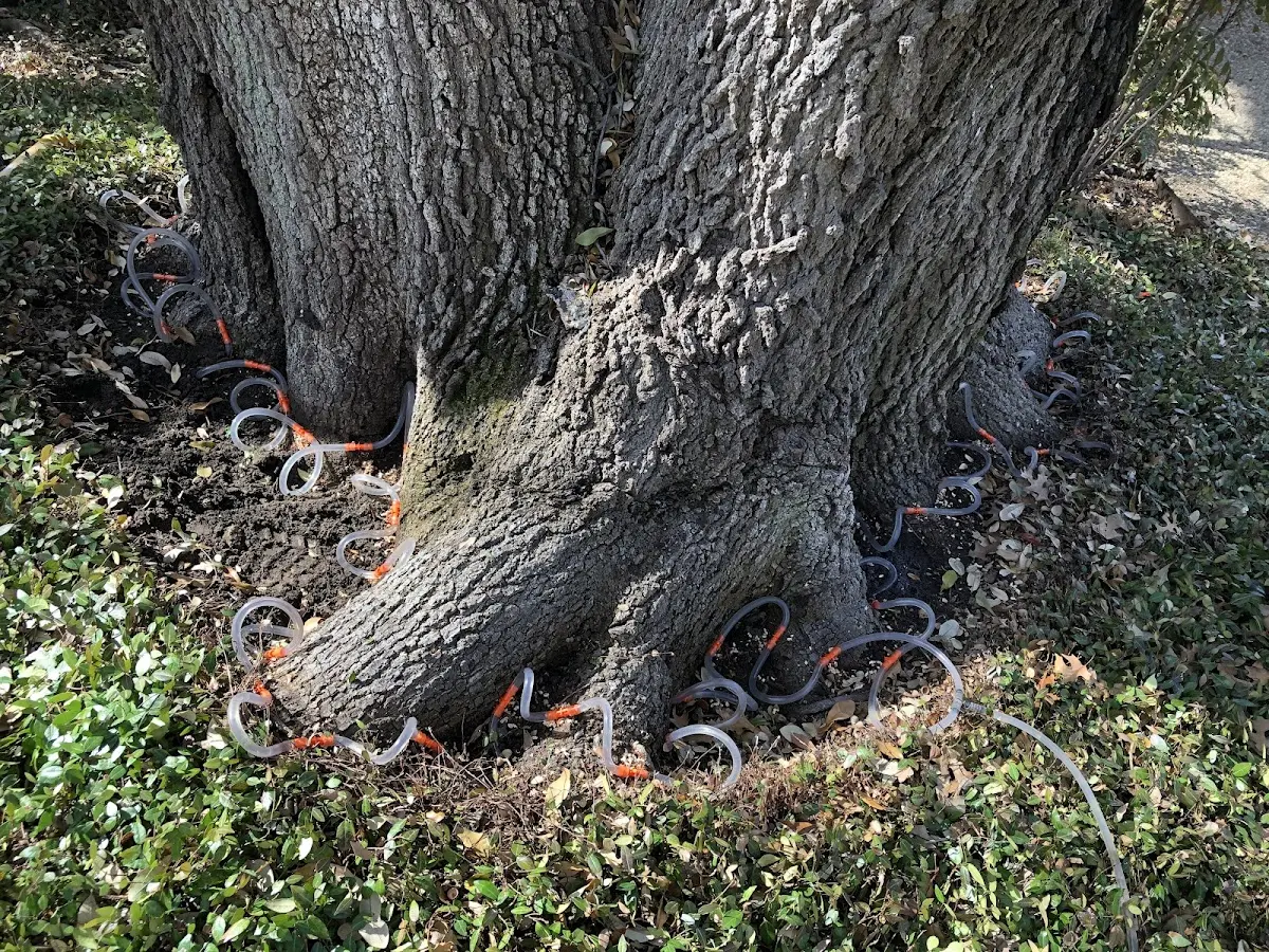 Detailed Shrub and Hedge Trimming job site in Osnabrock