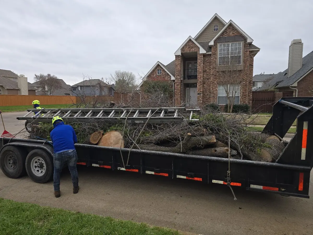 Expert Tree Pest Control with proper safety equipment in Osnabrock